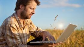 В КубГАУ разработали ИИ для прогнозирования урожайности